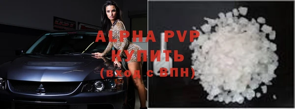 прущие грибы Коряжма
