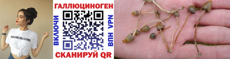 Галлюциногенные грибы ЛСД  что такое наркотик  Медвежьегорск 