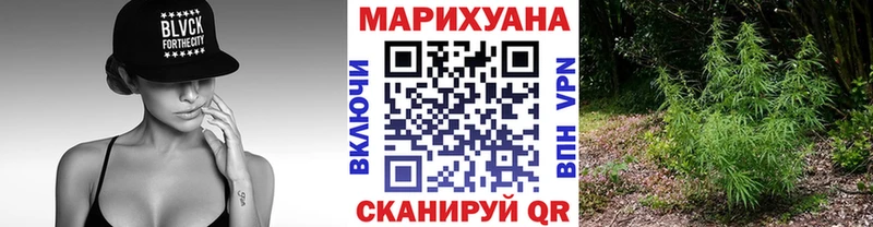 omg как зайти  Медвежьегорск  Конопля гибрид 